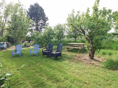 A garden with four chairs on grass and a wooden picnic table surrounded by trees at Ty Gwennol in Llanddona near Beaumaris