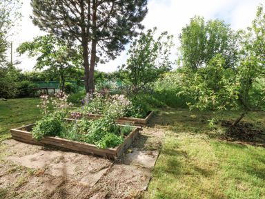 A garden with raised flower beds trees and a wooden bench at Ty Gwennol in Llanddona near Beaumaris