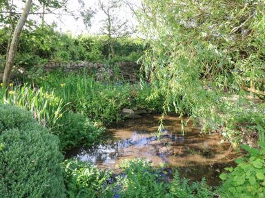 A garden with a small pond surrounded by greenery and yellow flowers at Ty Gwennol in Llanddona near Beaumaris