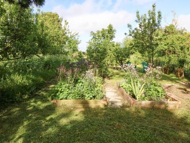 A garden with raised flower beds and green chairs among trees at Ty Gwennol in Llanddona near Beaumaris