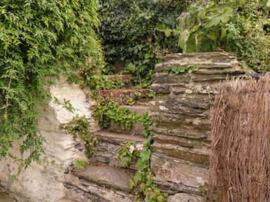 An outdoor stone staircase covered with greenery and surrounded by plants at Alexanders Cottage in Frogmore