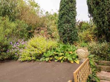 A garden area with various plants flowers and two tall conifer trees by Alexander's Cottage in Frogmore