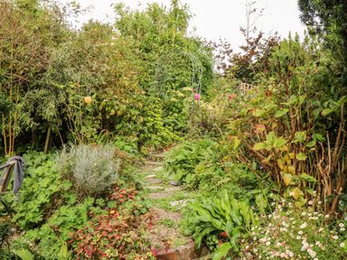 A garden path surrounded by various plants and flowers with a metal archway in the background at Alexanders Cottage in Frogmore