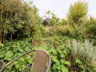 A garden with dense plants and flowers and a wicker chair at Alexanders Cottage in Frogmore