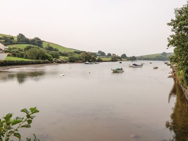 A river with boats and swans surrounded by grassy hills and trees at Alexanders Cottage in Frogmore