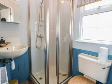 A bathroom with a shower, sink, and toilet at Seaward in Trimingham