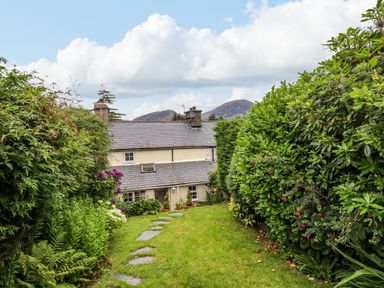 A garden path leading to a house surrounded by dense green bushes and plants at Preswylfa in Ffestiniog