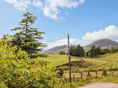 A rural landscape with trees hills a fence and a wooden utility pole at Preswylfa in Ffestiniog