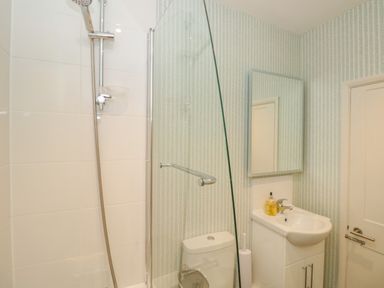 A bathroom with a shower, toilet, sink, mirror, and soap dispenser at Upper Tremorvah in Dartmouth