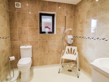 A bathroom with a toilet a shower chair a showerhead and a window with flowers at Derriens Farmhouse Letterbreen County Fermanagh