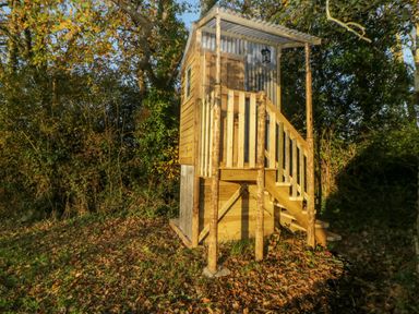 A small wooden cabin with stairs and a railing surrounded by trees and fallen leaves at The Wagon at Burrow Hill in Ottery St Mary
