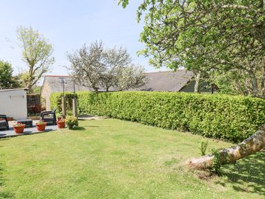 A garden with grass hedges trees potted plants and outdoor chairs at Godolphin Barn Ashton near Rosudgeon