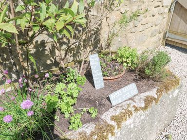 An outdoor herb garden with various plants and two signs next to a stone wall at Godolphin Barn Ashton near Rosudgeon