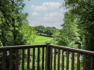 A view from a wooden balcony overlooking a green field and trees at Hideaway Cottage in St Ann's Chapel, Cornwall