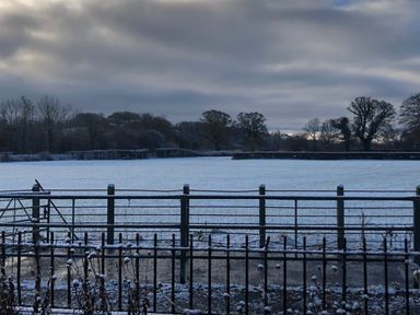 A snowy field with metal fences and bare trees under a cloudy sky at Tirallen in Llangadog