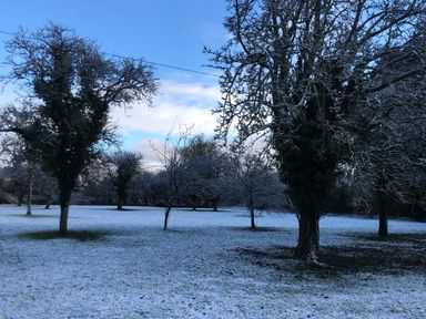 A snowy landscape with leafless trees and patches of grass under a cloudy sky at Tirallen in Llangadog