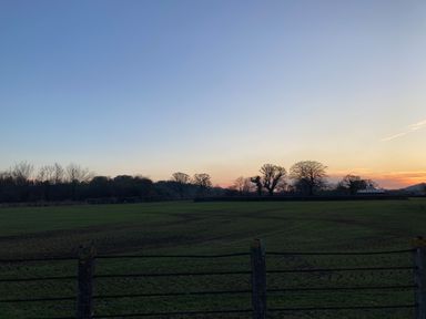 A fenced field with trees and a building in the distance at sunset at Tirallen in Llangadog