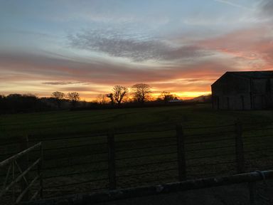 A sunset over a field with trees and a barn at Tirallen in Llangadog