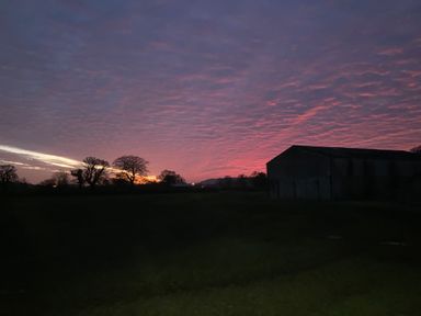 A rural landscape at sunset with trees and a large building in the foreground at Tirallen in Llangadog