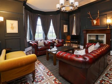 A living room with red leather sofas a yellow armchair a fireplace and a television at Tirallen in Llangadog