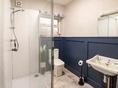 A bathroom with a shower, toilet, sink, and a plant at Tirallen in Llangadog