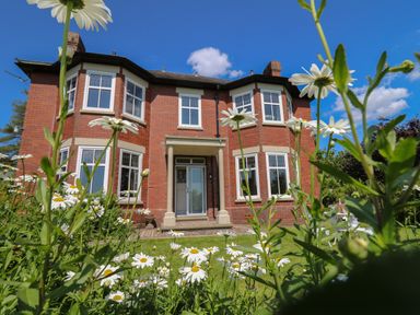 A brick house with white framed windows and daisies in the front garden at Tirallen in Llangadog