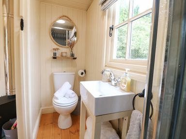 A bathroom with a toilet a sink and a window at High Grounds Shepherd's Hut Boylestone near Ashbourne