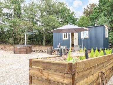 An outdoor seating area with a table umbrella and chairs next to a blue shepherds hut and a wooden hot tub surrounded by trees at High Grounds Shepherd's Hut Boylestone near Ashbourne