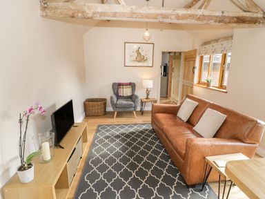 A living room with a brown leather sofa a patterned rug a gray armchair a wooden cabinet with a television and a potted orchid at The Old Piggery in Defford