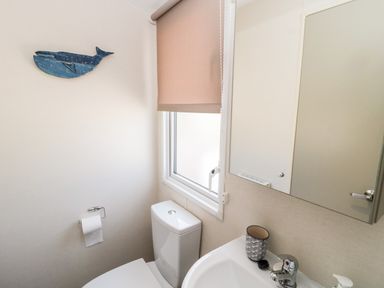 A bathroom with a toilet sink mirror window and wall decoration of a whale at Moonlight Lodge in Bockenfield Country Holiday Park near West Thirston