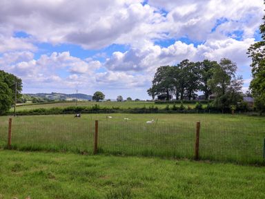 A fenced grassy field with grazing animals and trees under a cloudy sky at Quantock Barn in Stockland near Honiton
