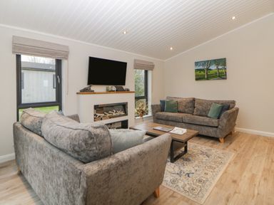A living room with two sofas a coffee table a wall-mounted television and a fireplace at Meadow Lodge in Lifton