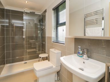 A bathroom with a shower area toilet sink and mirror with a towel rail at Meadow Lodge in Lifton