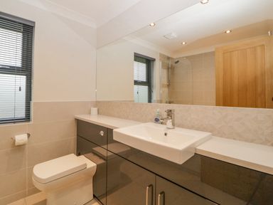 A bathroom with a toilet a sink a large mirror and a wooden door at Meadow Lodge in Lifton
