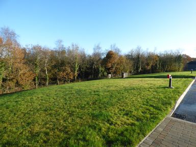 A grassy field beside a paved path with trees in the background at Meadow Lodge in Lifton