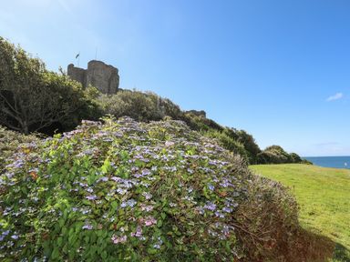 A garden with blooming flowers and shrubs near a stone castle by the sea at Menuchah in Criccieth