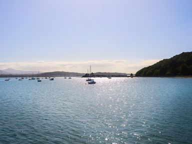 A seascape with sailboats on water and a tree-covered hillside at The Stables in Penmon near Beaumaris