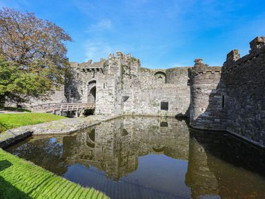 A stone castle with a wooden bridge over a water moat and a large tree next to it