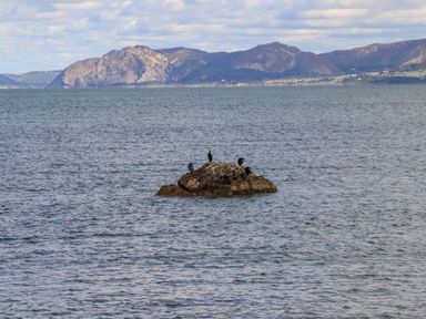 A rock with birds on it in the sea with mountains in the background at The Stables in Penmon near Beaumaris