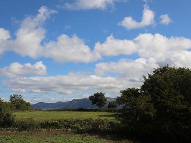 A grassy field with trees and mountains in the background under a blue sky with scattered clouds at The Stables in Penmon near Beaumaris