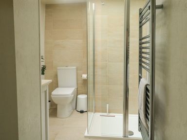 A bathroom with a toilet a shower enclosure and a towel rack at Hope Cottage in Buckfastleigh