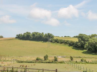A rural landscape with grassy fields fenced and bordered by trees and power lines at Garland in Nottington near Weymouth