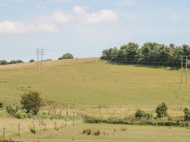 A rural field with grass bushes trees fences and power lines at Emminster in Nottington near Weymouth