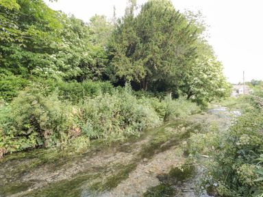 A shallow river with clear water and green vegetation along its banks at Emminster in Nottington near Weymouth