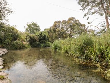 A clear shallow river flowing through an area with dense green vegetation and trees at Durbyfield in Nottington near Weymouth