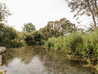 A shallow river with clear water surrounded by dense green bushes and trees at Egdon Heath in Nottington near Weymouth
