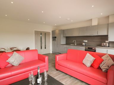 An open plan living area with two red sofas, a black coffee table with glasses and a bottle, and a kitchen with grey cabinets at Lulstead in Nottington near Weymouth