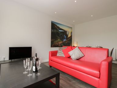 A living room with a red sofa pillows a black coffee table with glasses and a bottle and a television on a stand at Lulstead in Nottington near Weymouth
