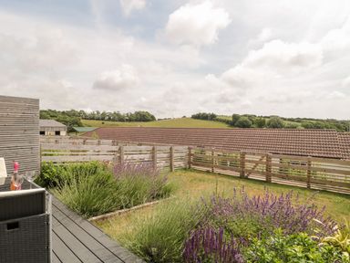 A garden with lavender plants a wooden fence and countryside hills at Lulstead in Nottington near Weymouth