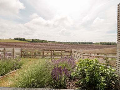 A garden with various plants and flowers enclosed by a wooden fence with a tiled roof and countryside in the background at Lulstead in Nottington near Weymouth